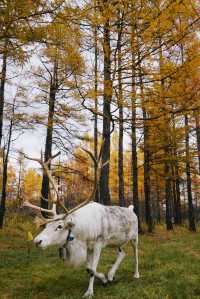 原來中國最冷的地方，竟然不是漠河