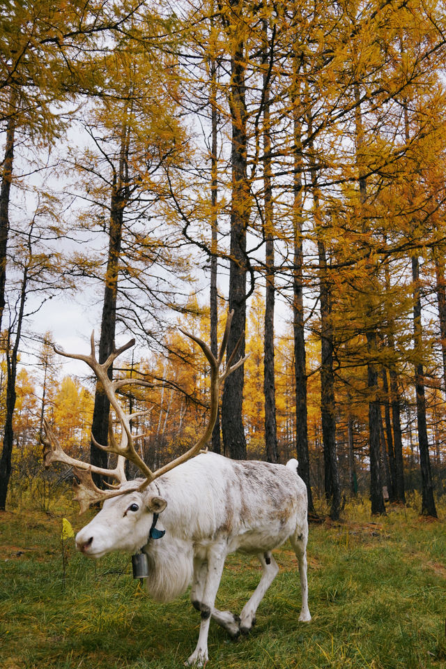 原來中國最冷的地方，竟然不是漠河