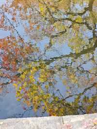 這個秋天一定要嚟莫愁湖！