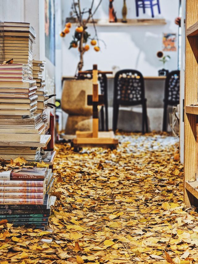 在佛山，如何過一個文藝感拉滿的秋日午後？
