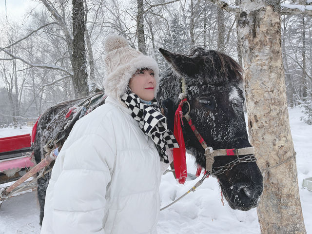 長白山滑雪全攻略