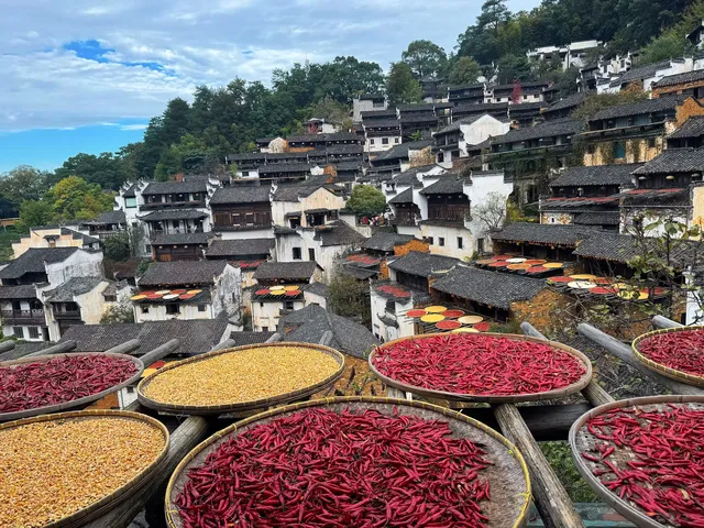 婺源-篁嶺婺女洲 兩日攻略 曬秋詳細路線