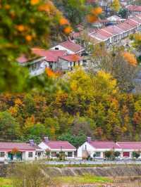 漢中2日遊秋天這樣玩才過癮