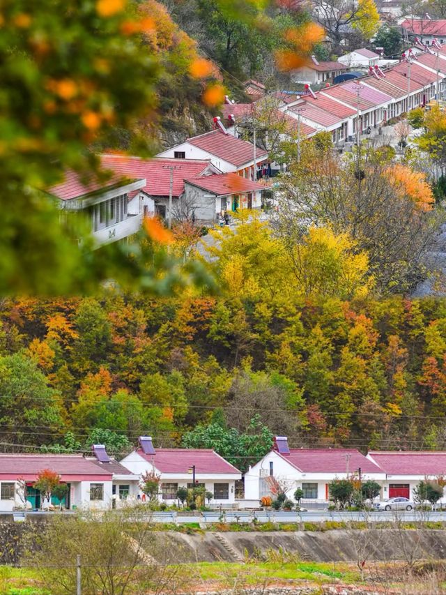 漢中2日遊秋天這樣玩才過癮