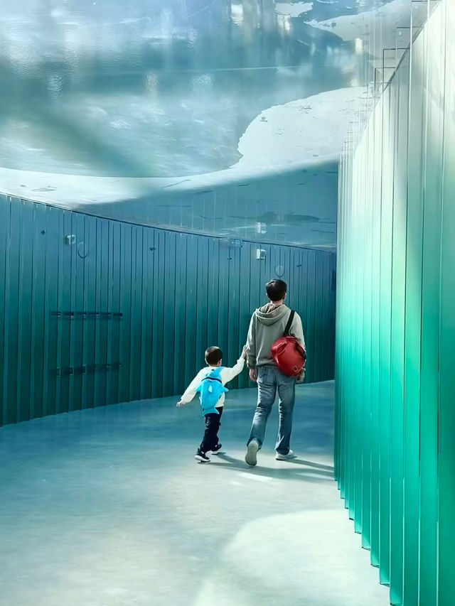 Shanghai’s Ultimate Urban Jungle Adventure🎉: Parent-Child Weekend Guide 🌿🤩 Shanghai’s Ultimate Urban Jungle Adventure🎉: Parent-Child Weekend Guide 🌿🤩