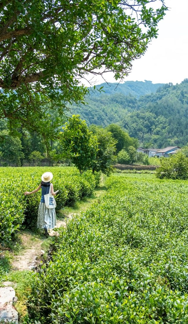 漢中青木川:景色醉人的桃源仙境