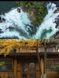 秋遊桂林5日這份攻略不看虧大啦