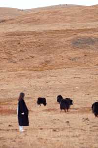 壯美雪山秘境打卡姑弄村的半日悠閒