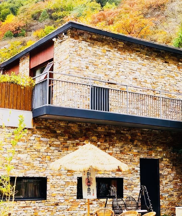 天冷就要泡這種湯