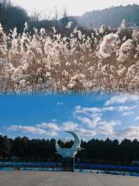 在淨月潭，我“後悔”待得太短