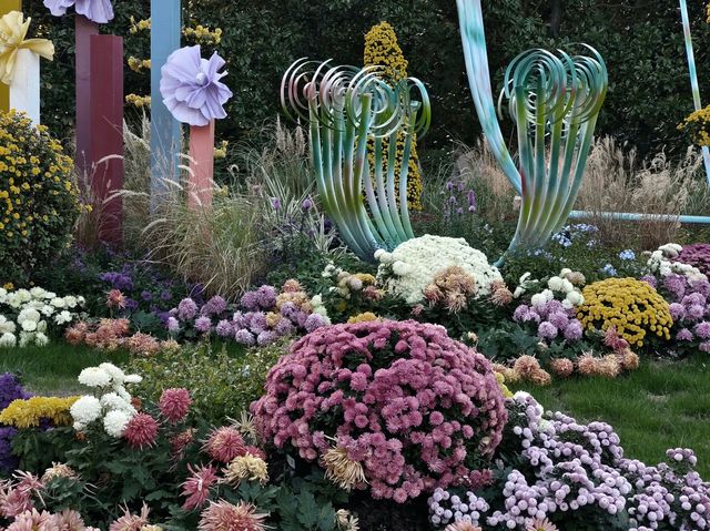 共青森林公園菊花展美翻啦 共青森林公園菊花展美翻啦
