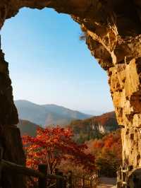 濰坊石門坊親子賞楓帶娃解鎖漫山紅葉