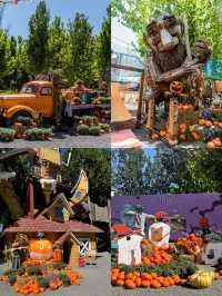 北京遛娃丨森林中的童話世界,地鐵直達!!