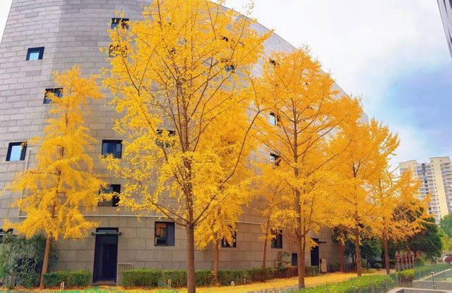 新昌秋日限定美景 新昌秋日限定美景