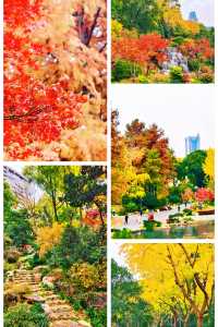 上海小京都這片楓葉階梯美到窒息!人少速來!