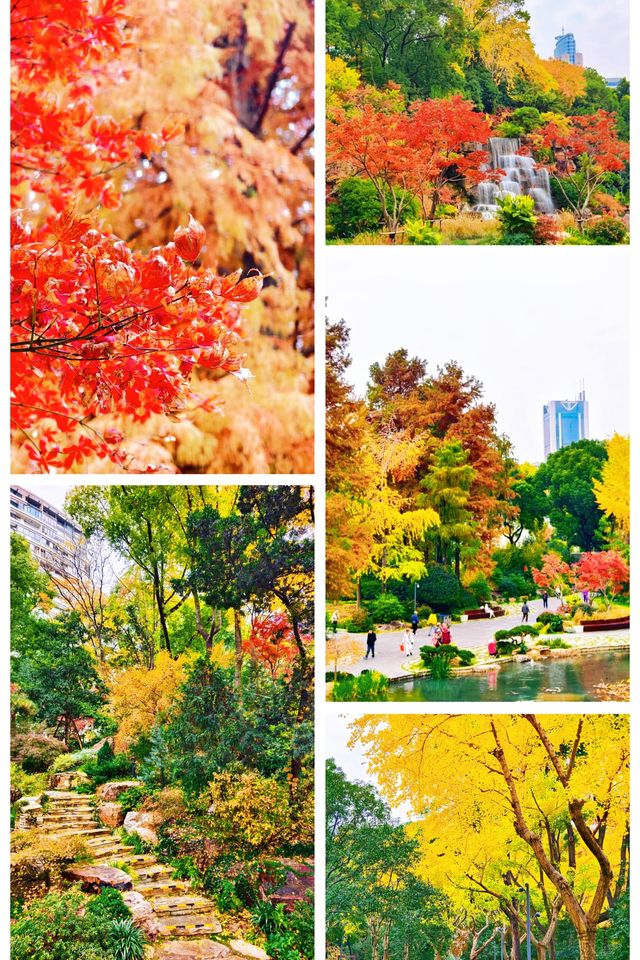 上海小京都這片楓葉階梯美到窒息!人少速來! 上海小京都這片楓葉階梯美到窒息!人少速來!