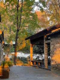 我願稱它為江浙滬打工人觸手可及的「週末療癒所」。