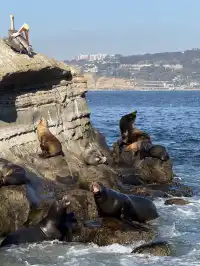 感恩節三天非特種兵帶娃San Diego遊推薦