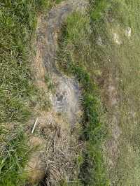 阿勒泰地區-博爾塔拉8日遊 去了還想去