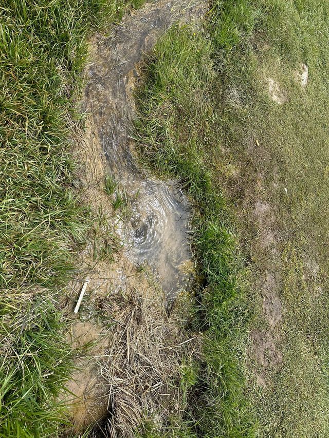 阿勒泰地區-博爾塔拉8日遊 去了還想去 阿勒泰地區-博爾塔拉8日遊 去了還想去