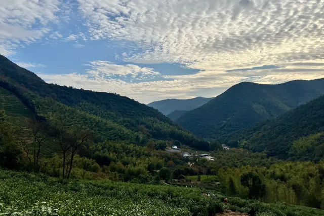 山野童行丨烏龍古道+八都岕一日暴走攻