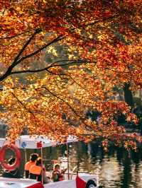 上海魯迅公園｜初冬限定！這片紅楓林美到窒息