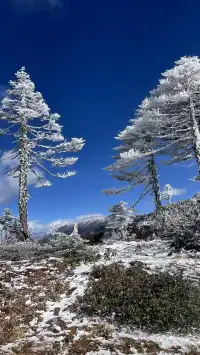 淡季11月雲南旅遊攻略|6天7晚|人均3千多
