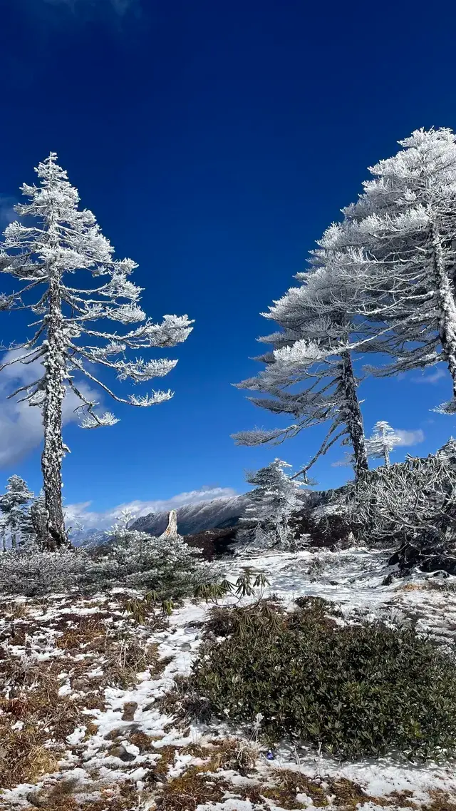 淡季11月雲南旅遊攻略|6天7晚|人均3千多 淡季11月雲南旅遊攻略|6天7晚|人均3千多