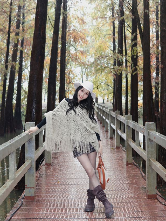 廣佛自駕遊,七星岩落羽杉 廣佛自駕遊,七星岩落羽杉