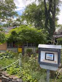 冬天去林芝2日遊必看攻略