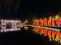 昆明大觀公園新春燈會(八)