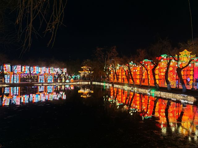 昆明大觀公園新春燈會(八) 昆明大觀公園新春燈會(八)