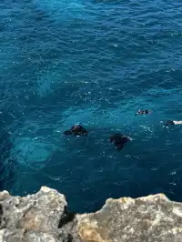 在巴厘島追到了!凌晨五點出海 被狠狠獎賞