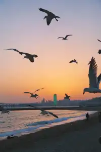 南寧-大連3天2夜浪漫出片攻略！！！