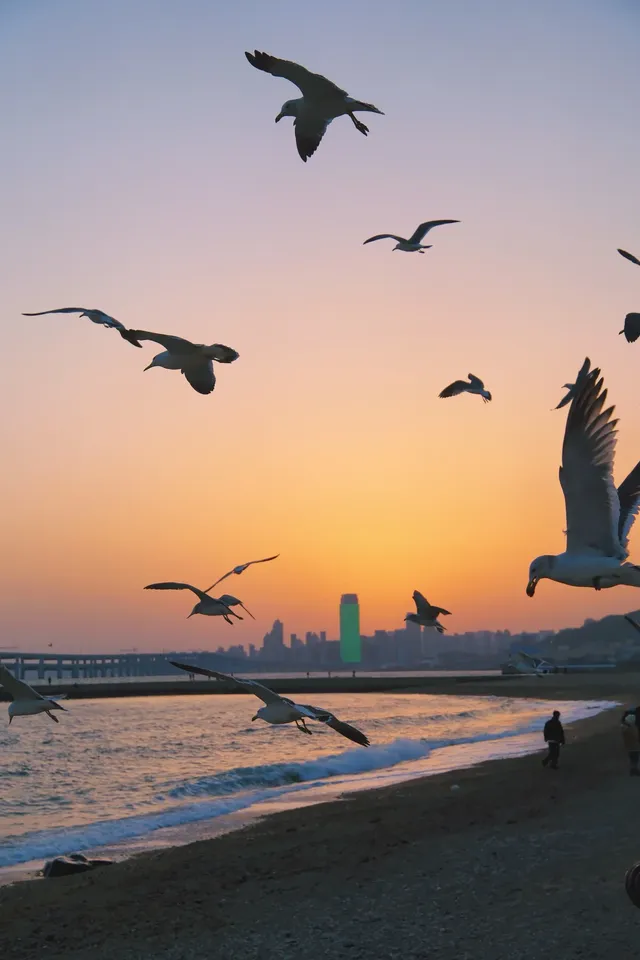 南寧-大連3天2夜浪漫出片攻略！！！