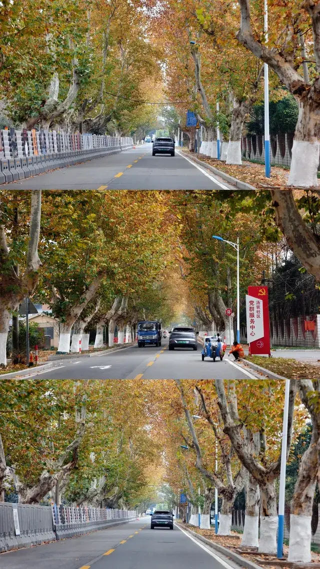 99%的人都不知道的江北賞秋路線~ 99%的人都不知道的江北賞秋路線~