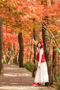 12·1南京棲霞山紅楓進入觀賞期～附路線～