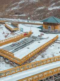 9日冬遊呼倫貝爾 超讚攻略來啦