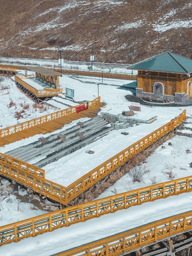 9日冬遊呼倫貝爾 超讚攻略來啦