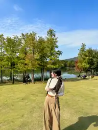 終於等到了12月的南京