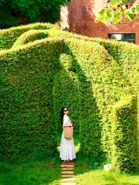 東風韻拍照全攻略