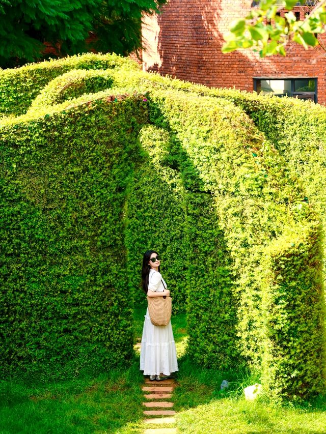 東風韻拍照全攻略