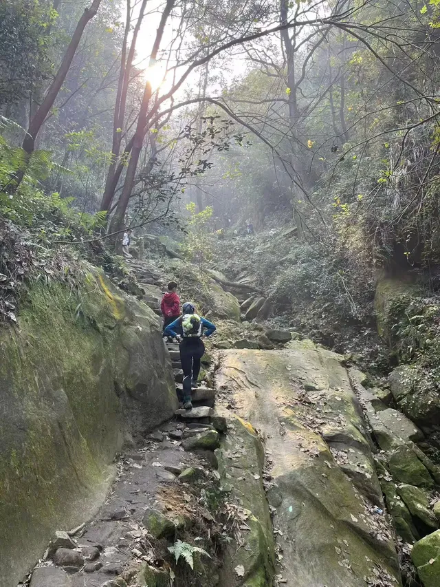 京郊遊之重慶兩日特種兵（牛馬貧窮版）