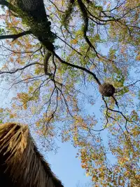 杭州2h直達！一個還在80年代的寶藏小鎮