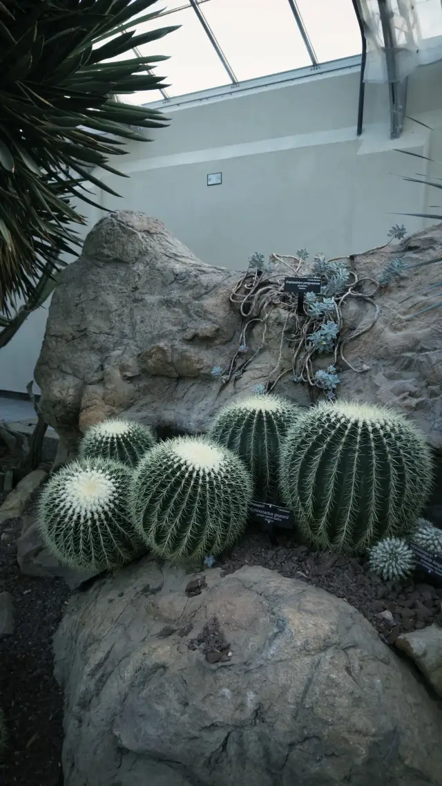 Exploring Washington｜National Botanic Garden Botanic Garden
