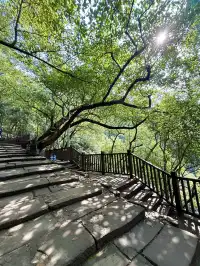 重慶主城!最喜歡的citywalk路線好治癒…