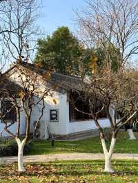 超全南京愚園冬日攻略！小眾玩法+拍照機位大公開