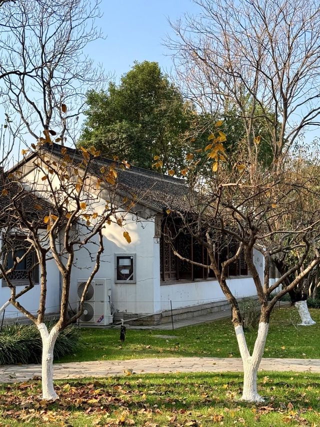 超全南京愚園冬日攻略！小眾玩法+拍照機位大公開