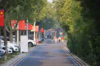 藏在金山!山陽田園的慢時光太好宅了