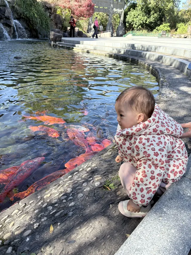 千島湖中心湖區攻略｜帶娃免門票遊湖！